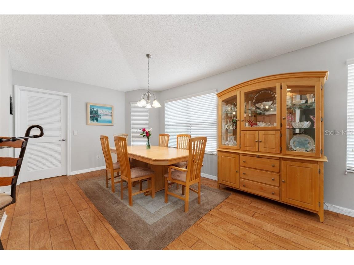 1731 Mount Carmel Terrace The Villages FL 32162 G5099477 image14