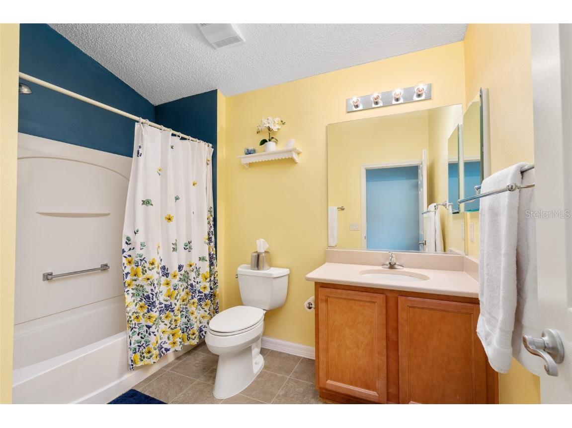 1731 Mount Carmel Terrace The Villages FL 32162 G5099477 image22