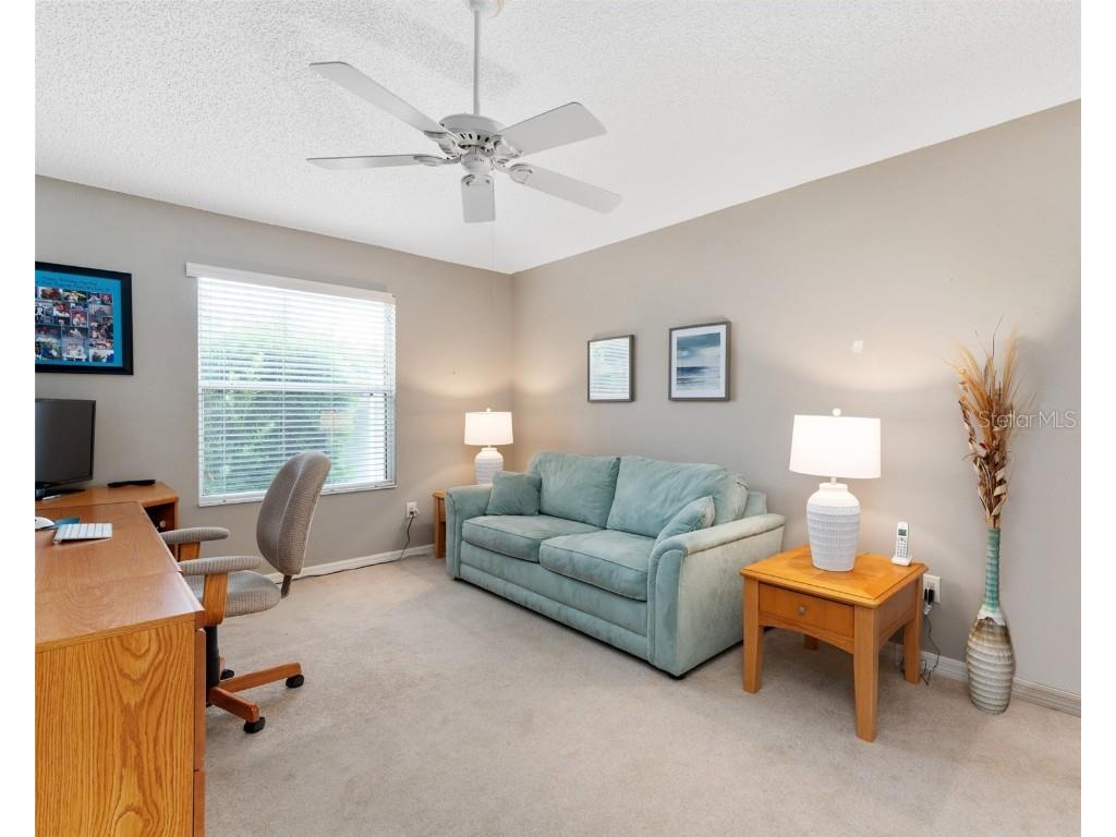 1731 Mount Carmel Terrace The Villages FL 32162 G5099477 image23