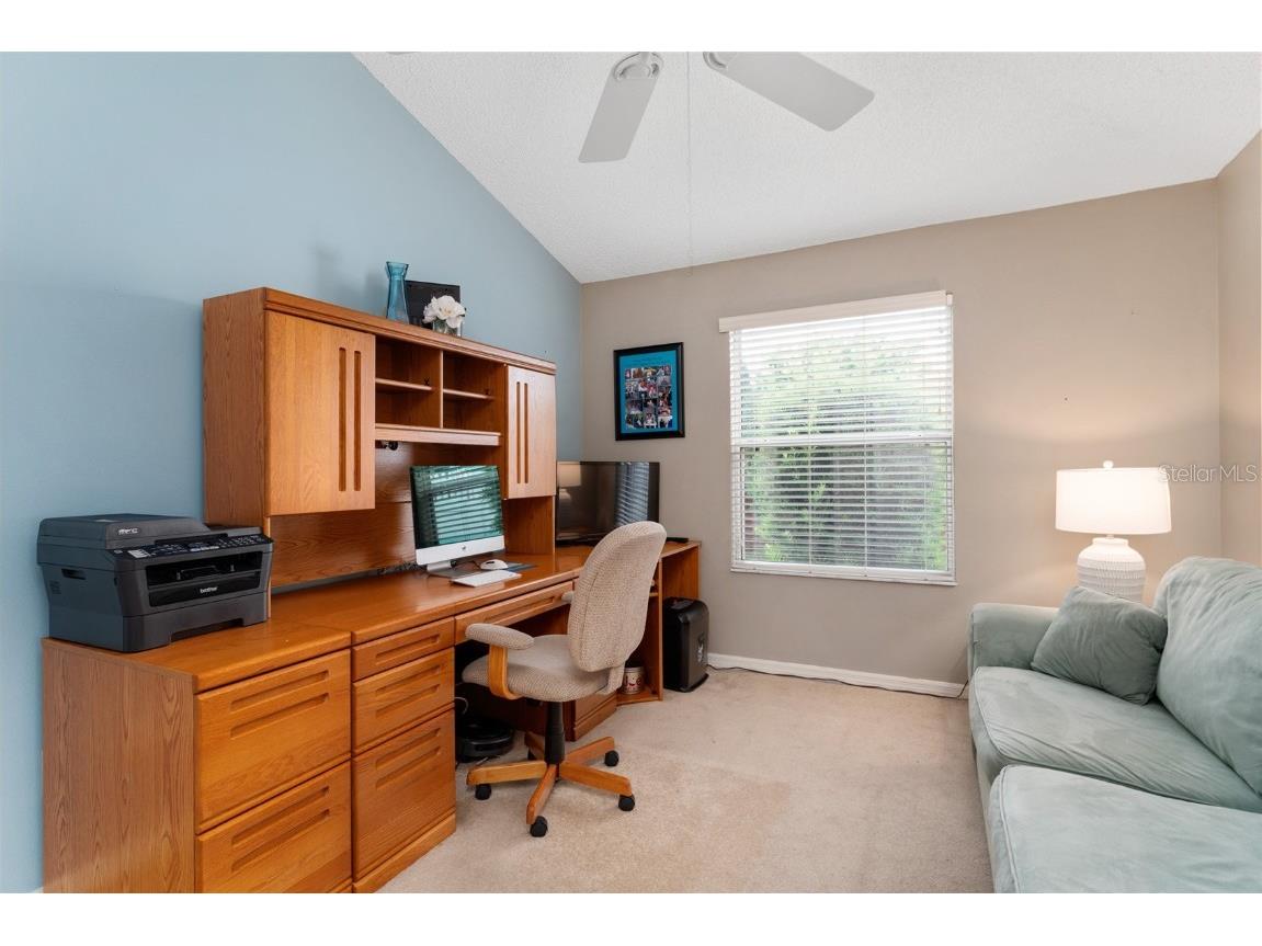 1731 Mount Carmel Terrace The Villages FL 32162 G5099477 image24