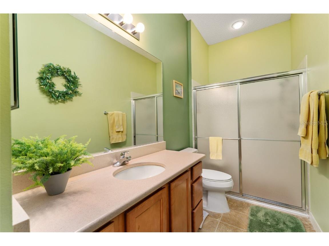 1731 Mount Carmel Terrace The Villages FL 32162 G5099477 image27