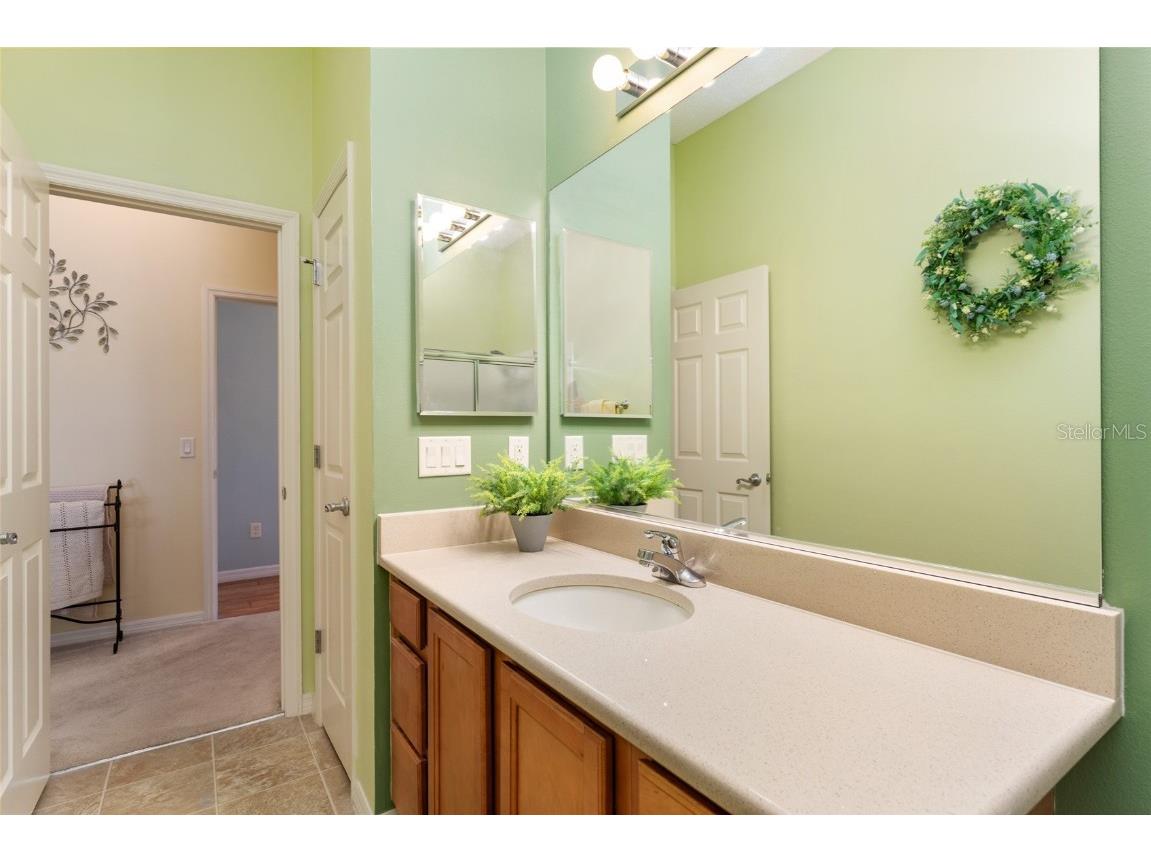 1731 Mount Carmel Terrace The Villages FL 32162 G5099477 image29