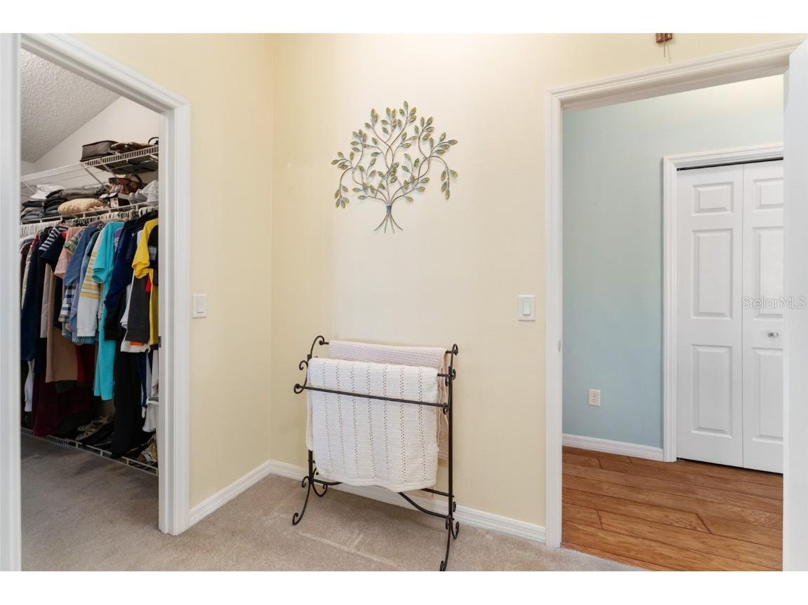 1731 Mount Carmel Terrace The Villages FL 32162 G5099477 image34