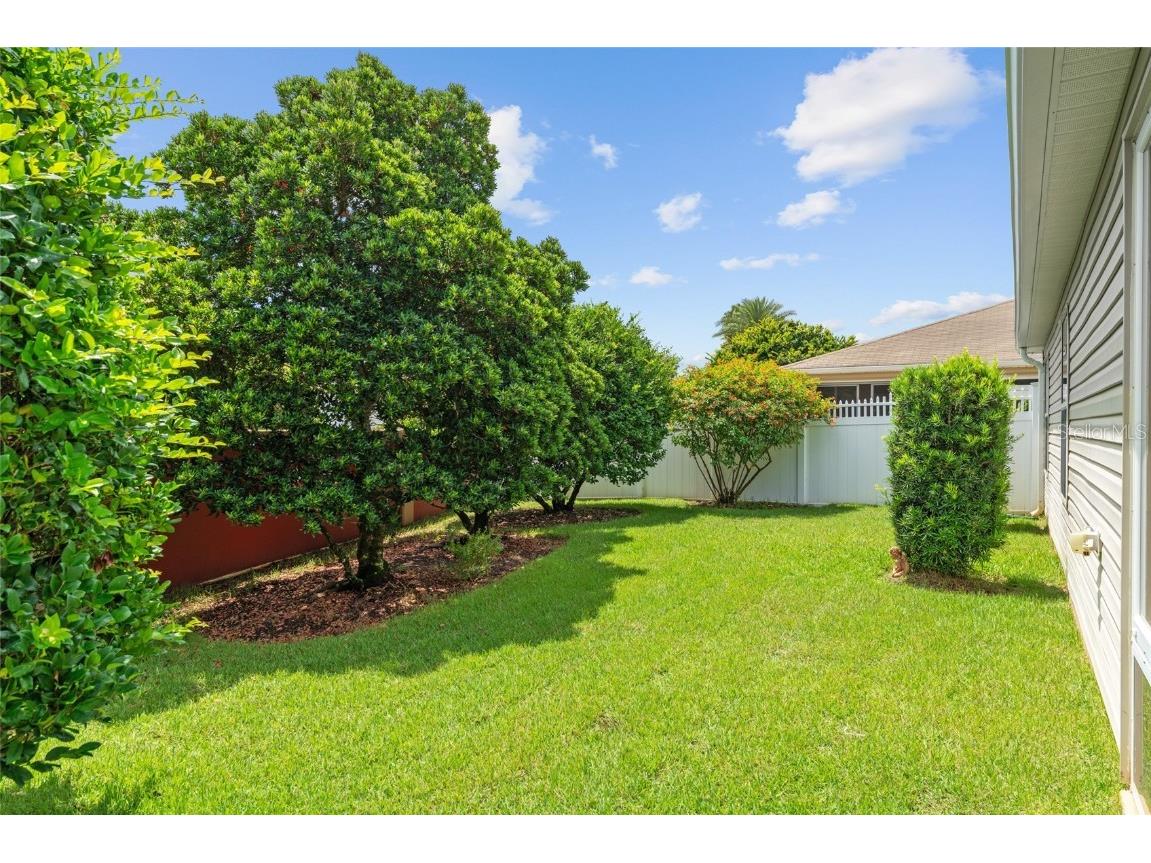 1731 Mount Carmel Terrace The Villages FL 32162 G5099477 image39