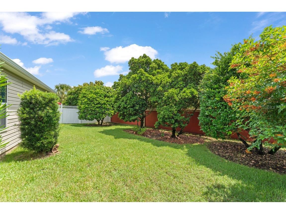 1731 Mount Carmel Terrace The Villages FL 32162 G5099477 image40