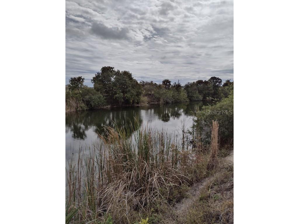 1731 NW 9th Place Cape Coral FL 33993 - ZANZIBAR CANAL C7471266 image1