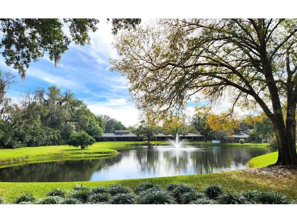 1731 SE Clatter Bridge Road Ocala FL 34471 OM718980 image51