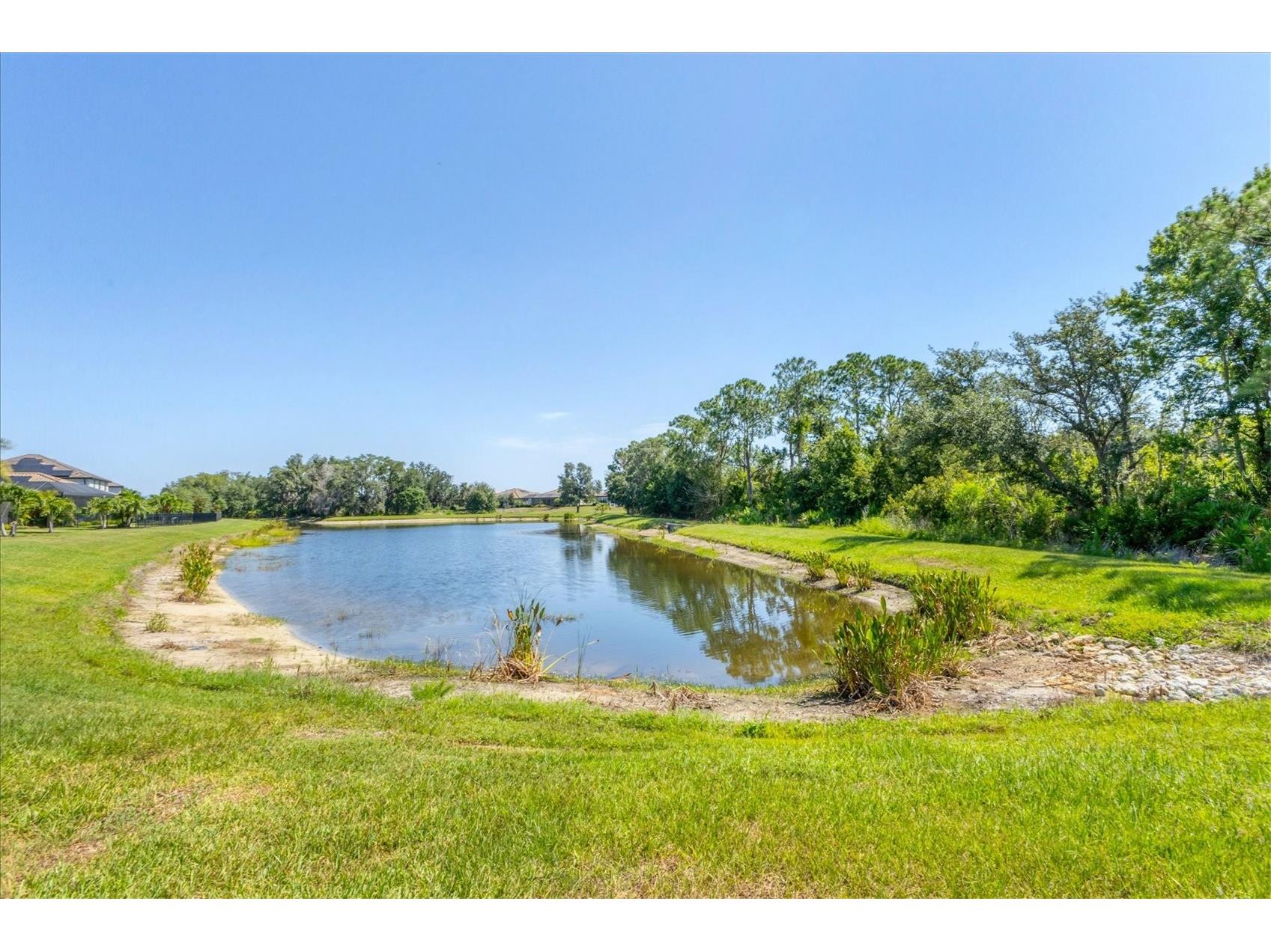 17311 Blue Ridge Place Bradenton FL 34211 A4690038 image38
