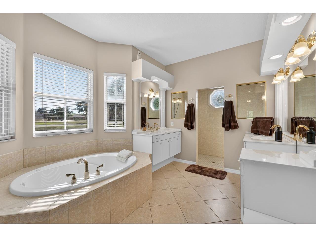 17312 Howling Wolf Run Parrish FL 34219 A4677504 image23