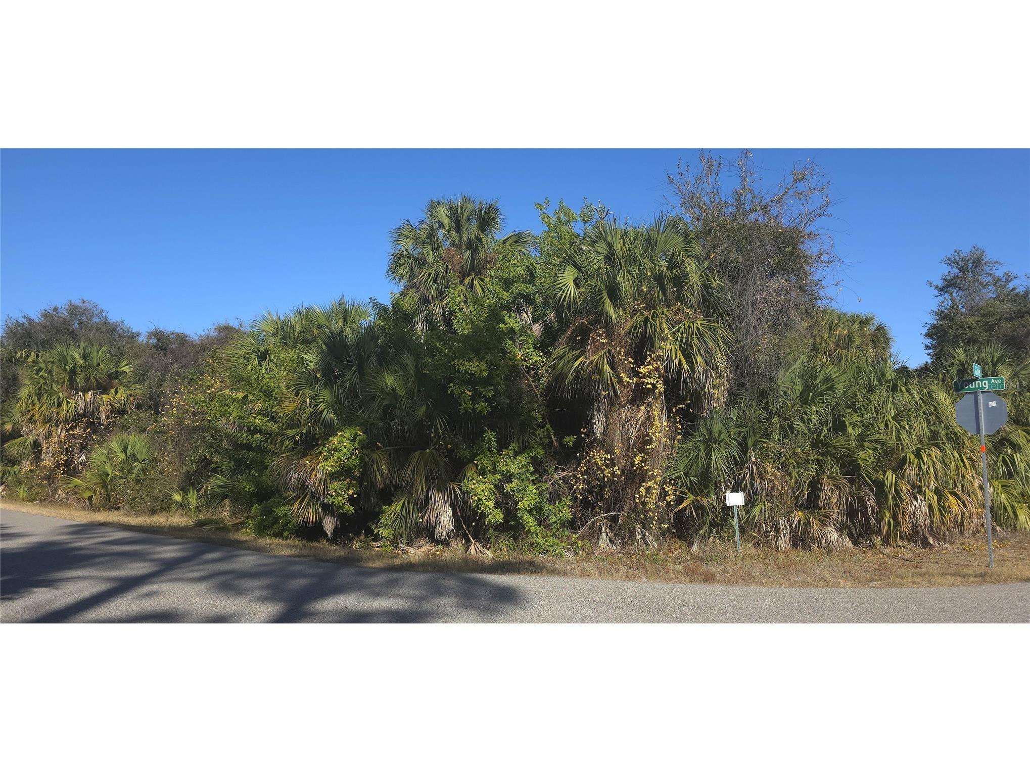 17312 Young Avenue Port Charlotte FL 33948 C7521787 image4