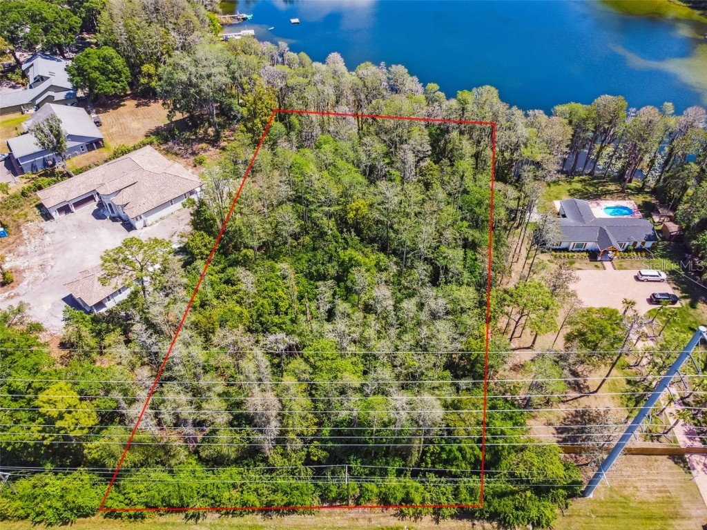 17313 N Dale Mabry Highway Lutz FL 33548 - Round Lake T3436575 image1