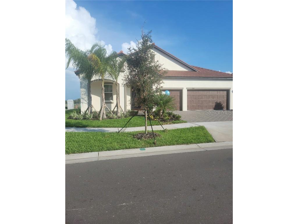 17314 Scuba Crest Street Wimauma FL 33598 T3464651 image1