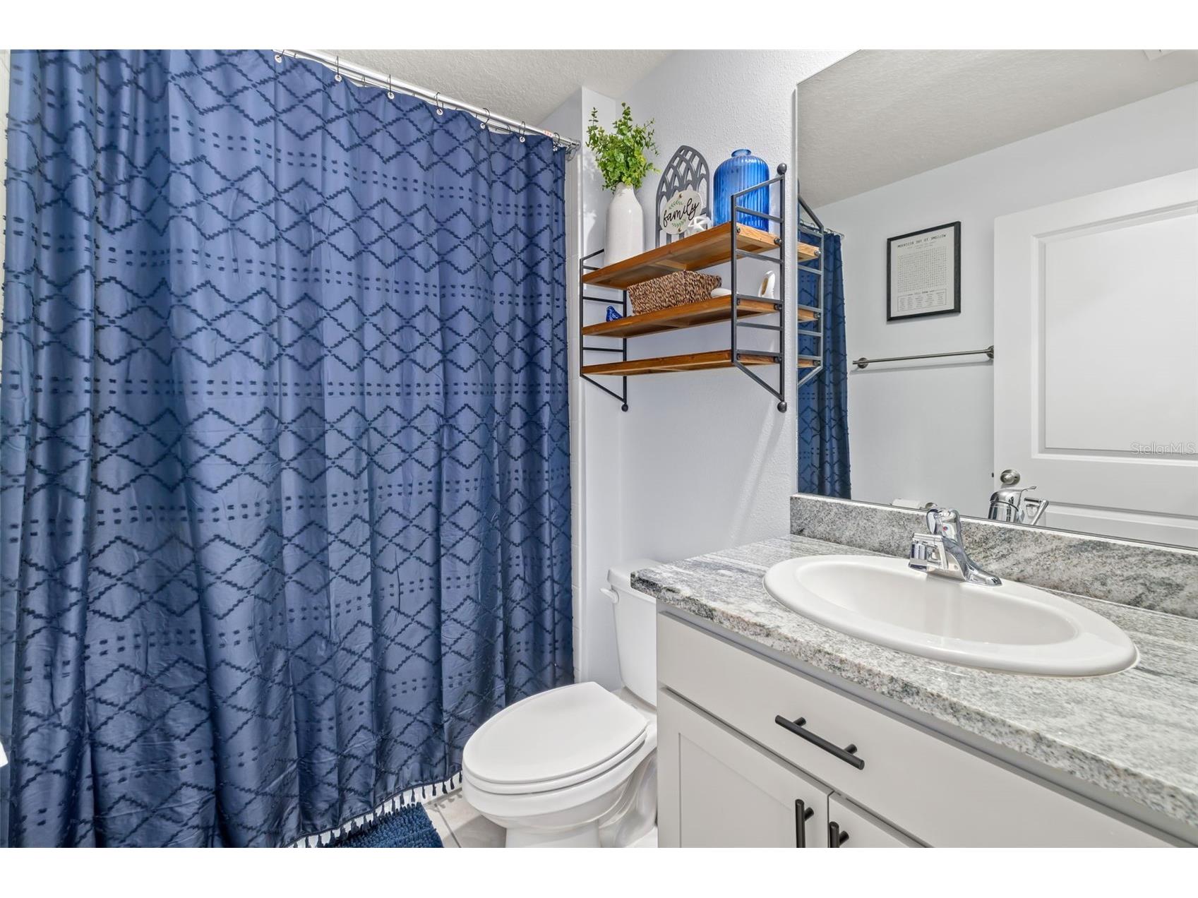 17315 Wheatberry Boulevard Parrish FL 34219 A4695382 image21