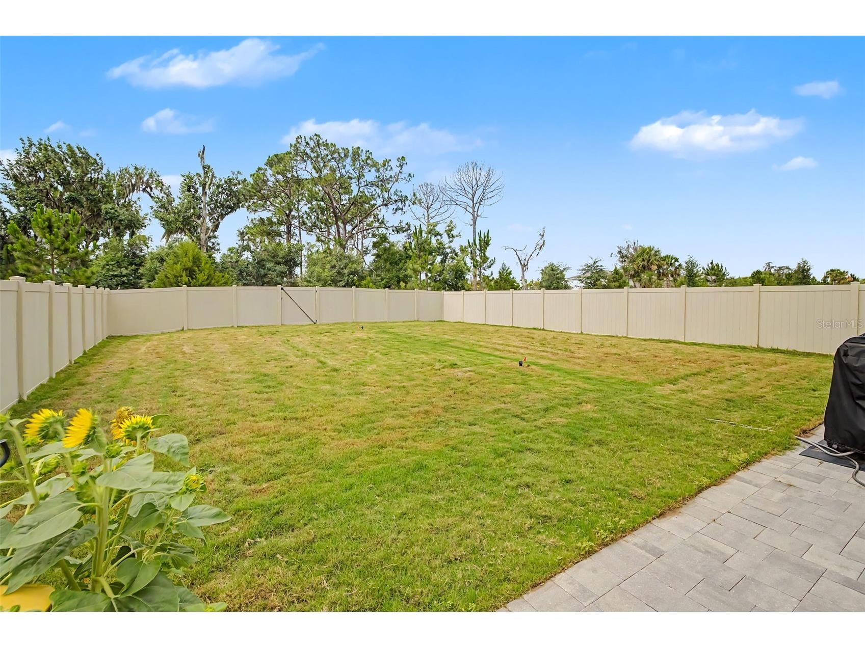17315 Wheatberry Boulevard Parrish FL 34219 A4695382 image54