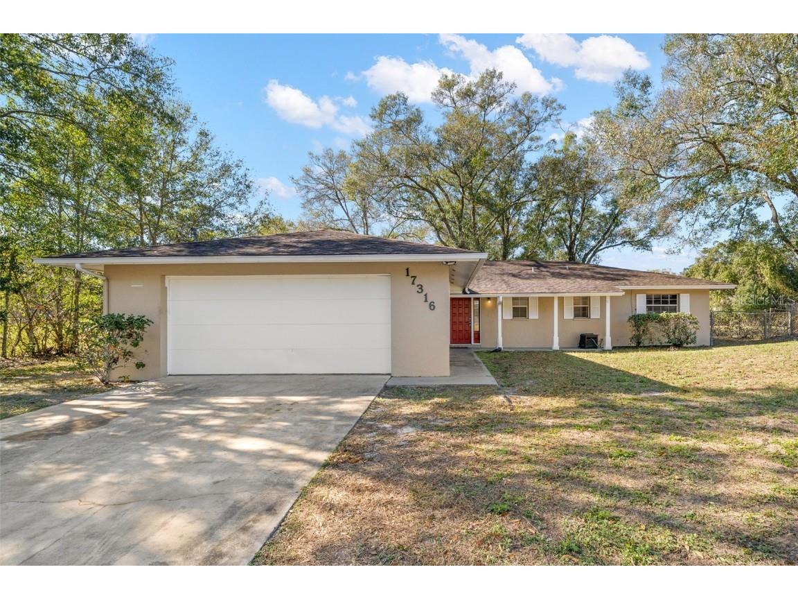 17316 Lynnette Drive Lutz FL 33549 T3493082 image1