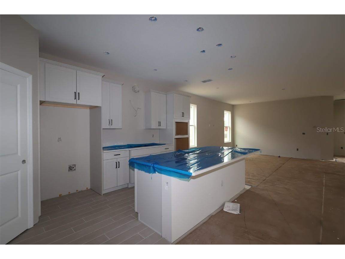 17317 Beachgrass Winter Garden FL 34787 O6365266 image5