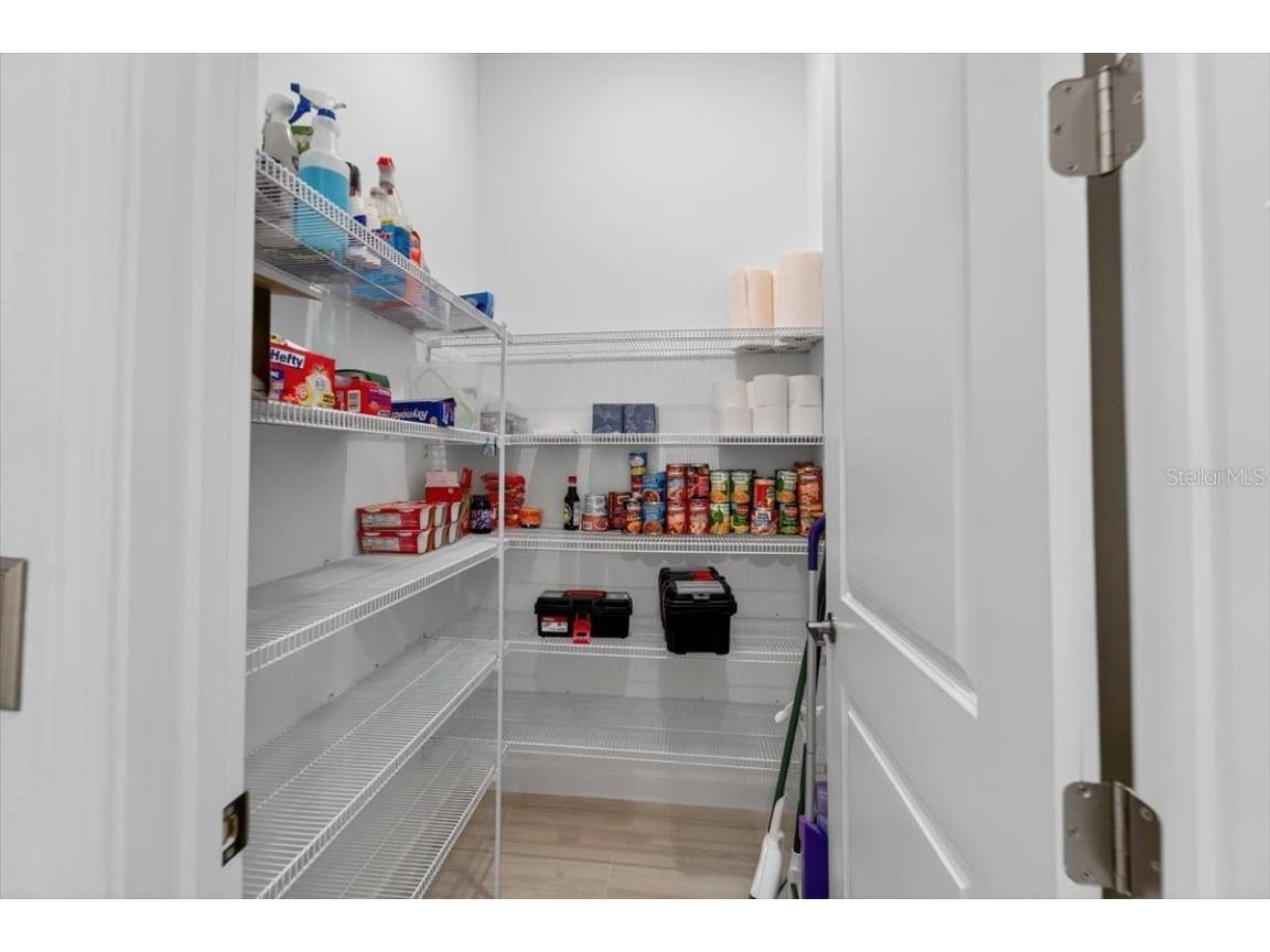 17317 Scuba Crest Street Wimauma FL 33598 TB8418461 image13