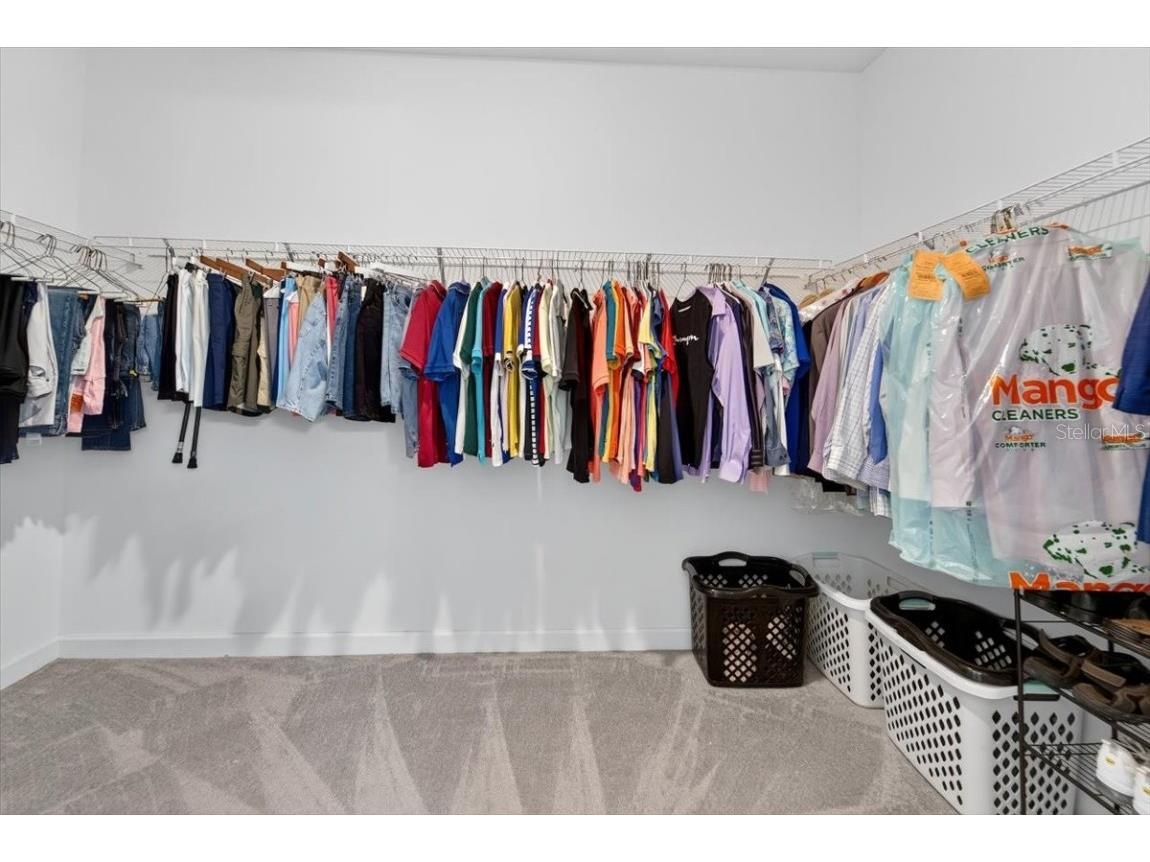 17317 Scuba Crest Street Wimauma FL 33598 TB8418461 image22