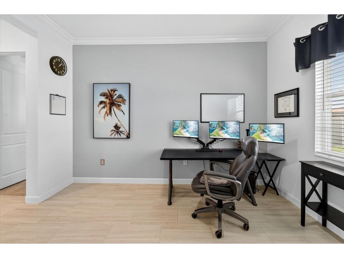 17317 Scuba Crest Street Wimauma FL 33598 TB8418461 image24