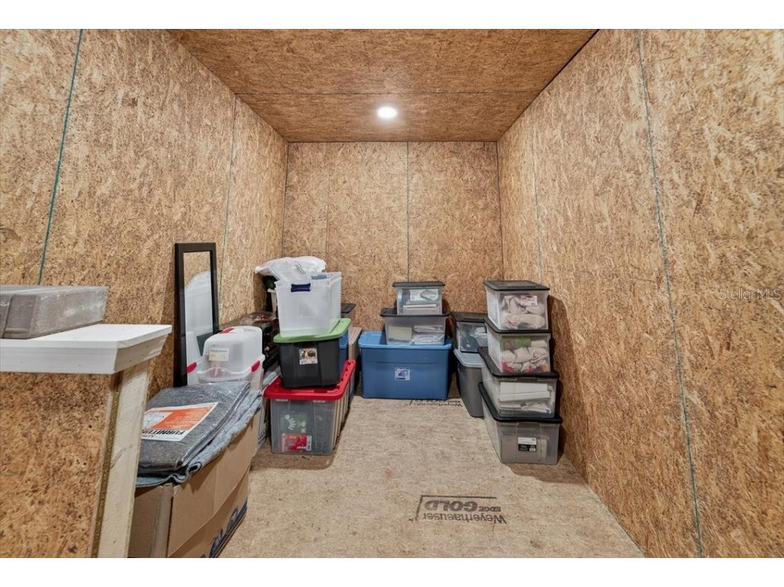 17317 Scuba Crest Street Wimauma FL 33598 TB8418461 image39