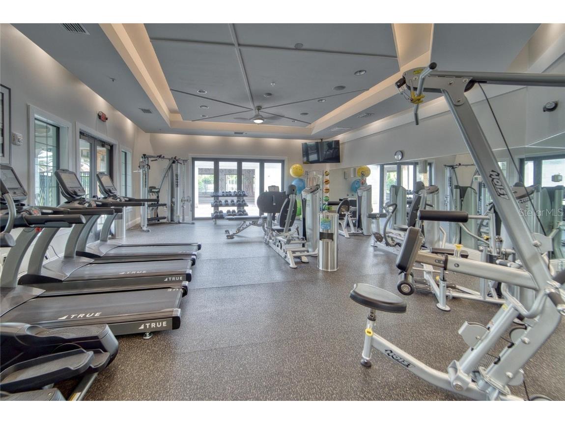 17317 Scuba Crest Street Wimauma FL 33598 TB8418461 image57