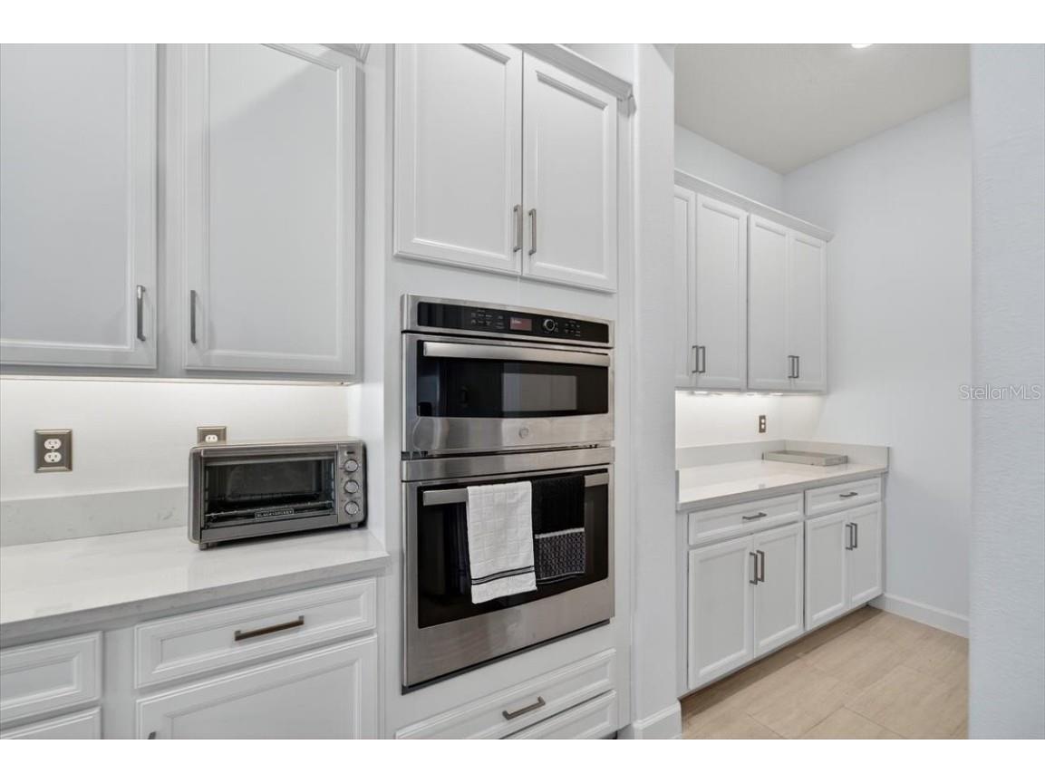 17317 Scuba Crest Street Wimauma FL 33598 TB8418461 image9