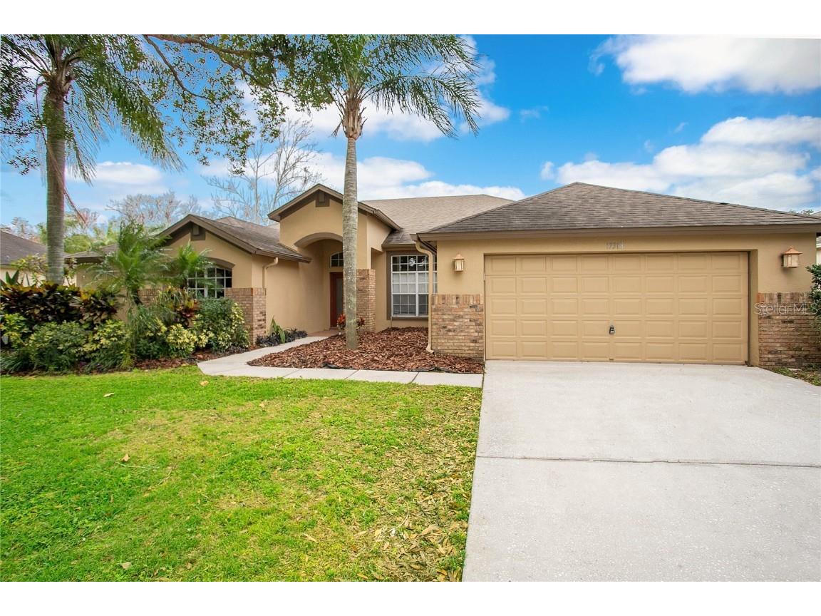 17318 Hubers Court Odessa FL 33556 O6160497 image1