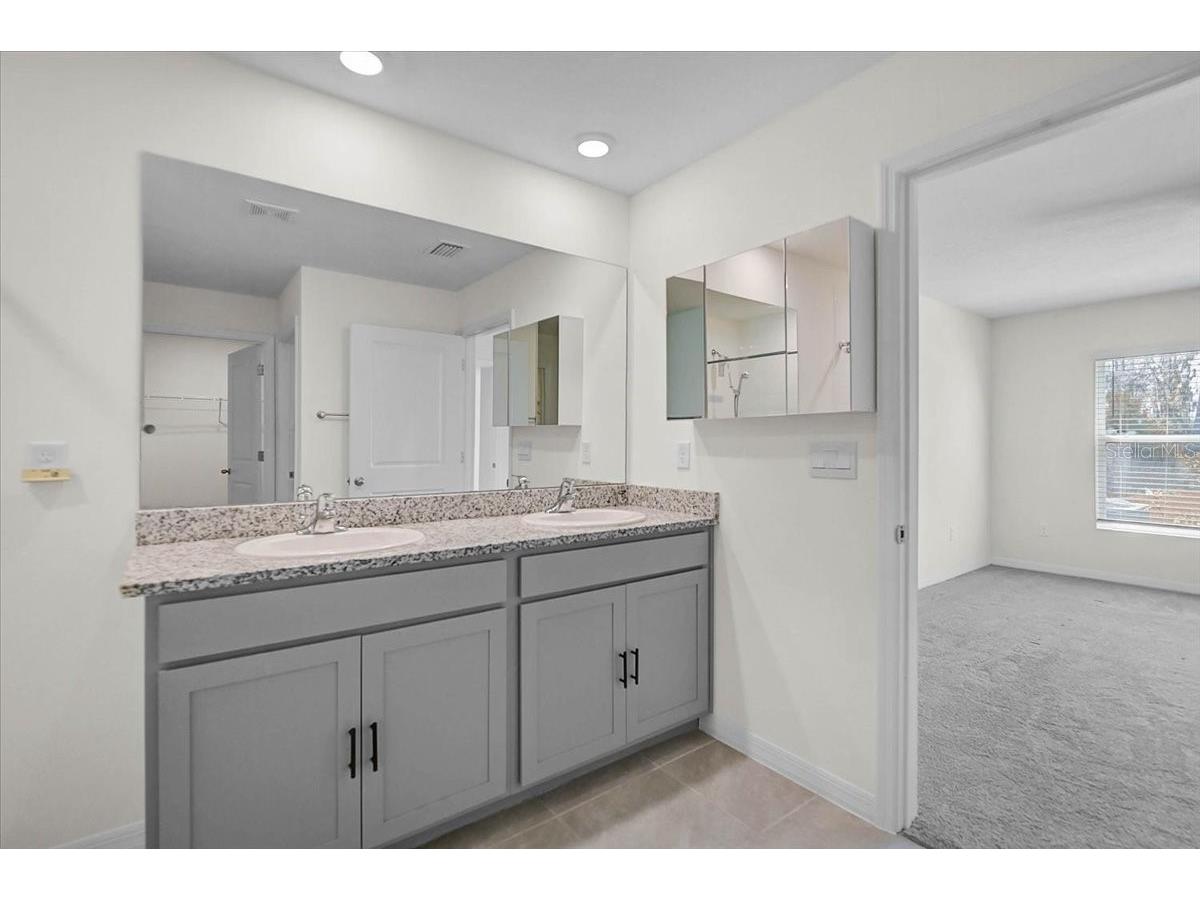 17319 Wheatberry Boulevard Parrish FL 34219 N6143334 image22