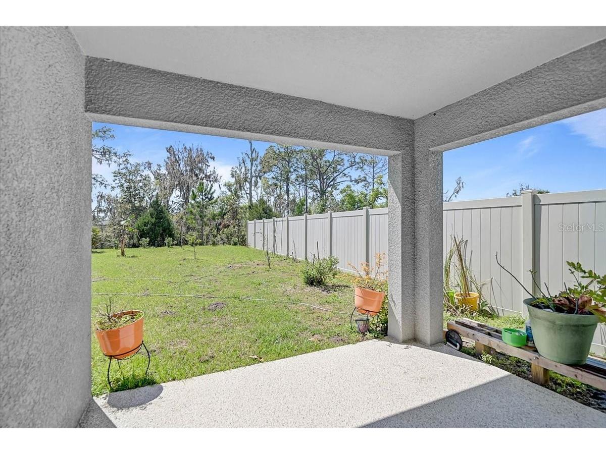 17319 Wheatberry Boulevard Parrish FL 34219 N6143334 image23
