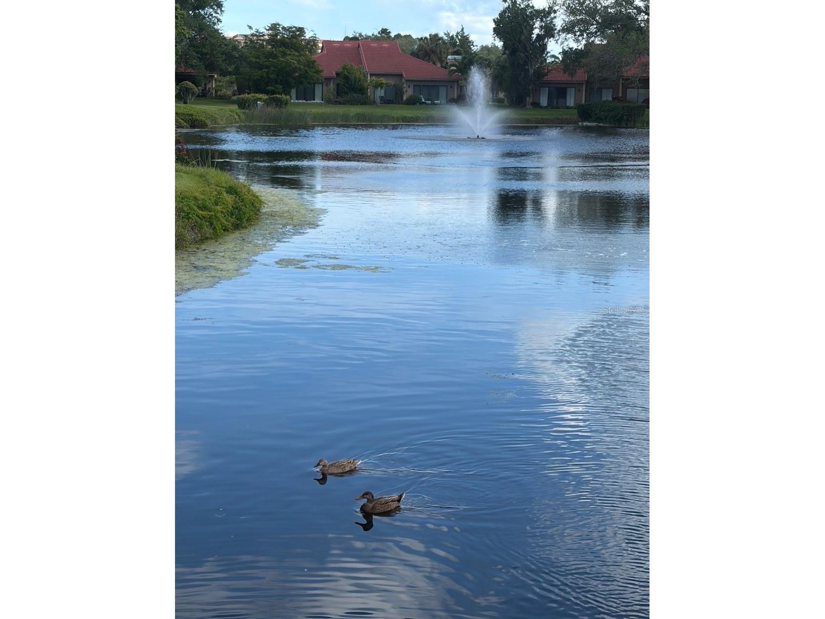 1732 Kestral Park Way S #43 Sarasota FL 34231 A4686630 image31