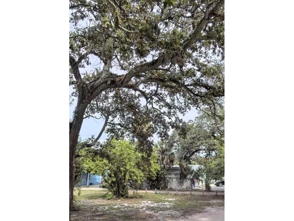 1732 Prescott Street S Saint Petersburg FL 33712 O6188485 image1