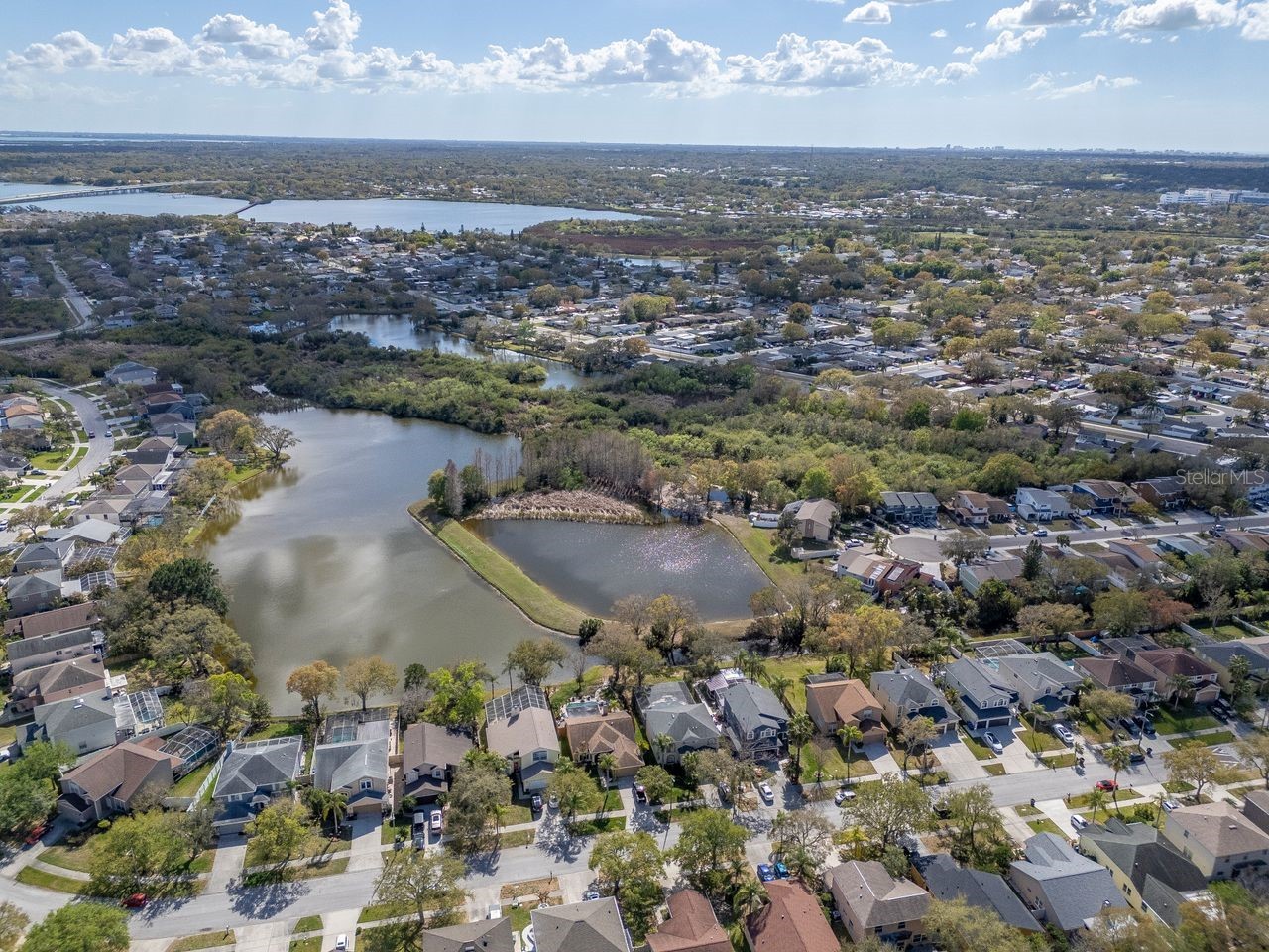 1732 Split Fork Drive Oldsmar FL 34677 TB8482923 image46