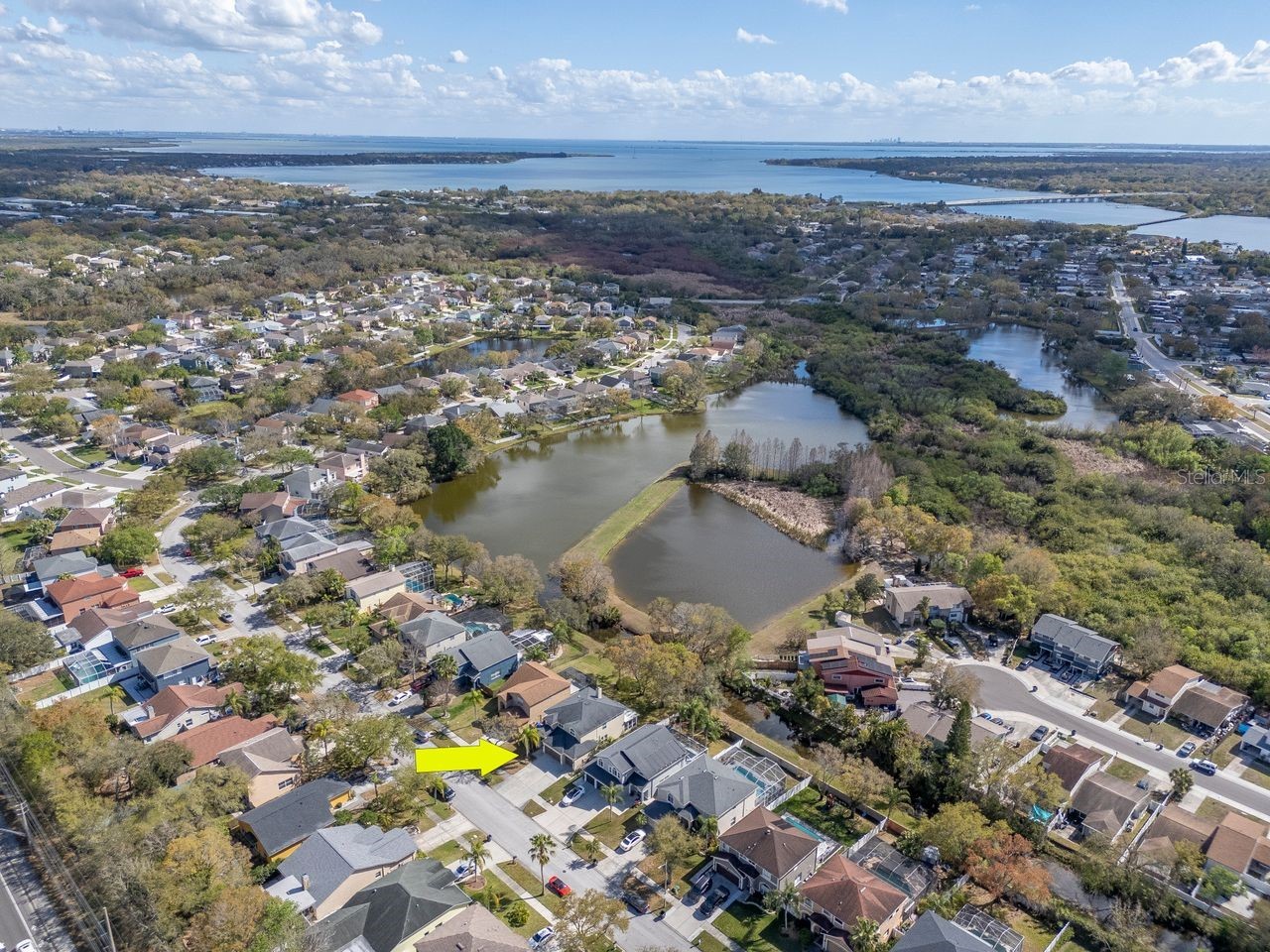 1732 Split Fork Drive Oldsmar FL 34677 TB8482923 image47