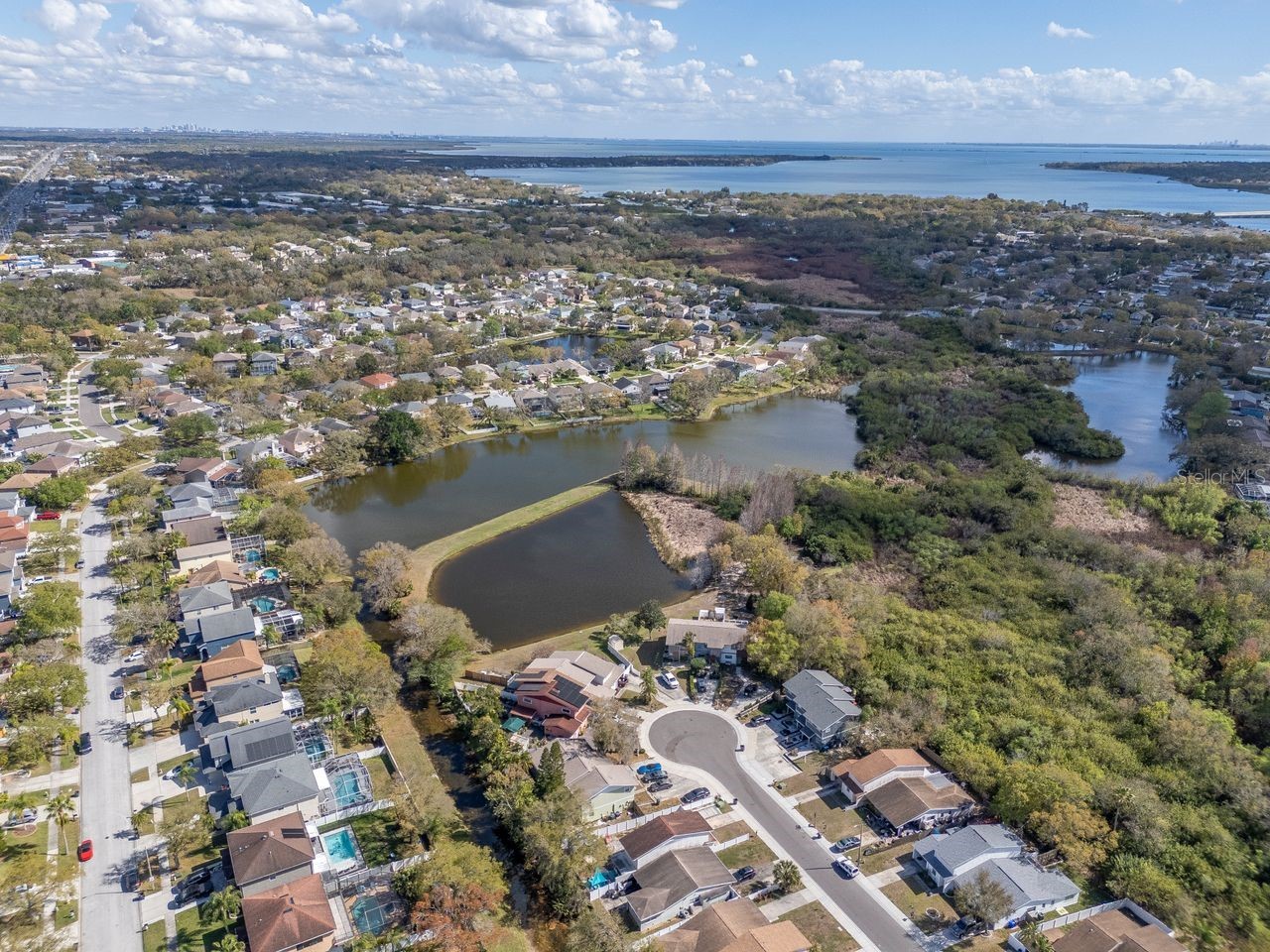 1732 Split Fork Drive Oldsmar FL 34677 TB8482923 image48