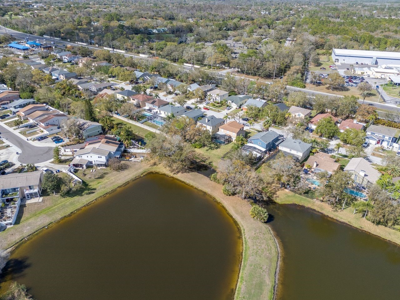 1732 Split Fork Drive Oldsmar FL 34677 TB8482923 image49