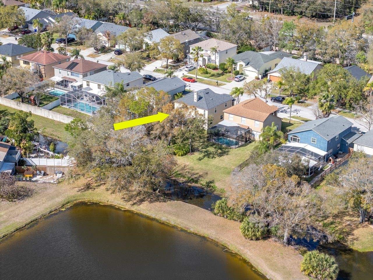 1732 Split Fork Drive Oldsmar FL 34677 TB8482923 image50