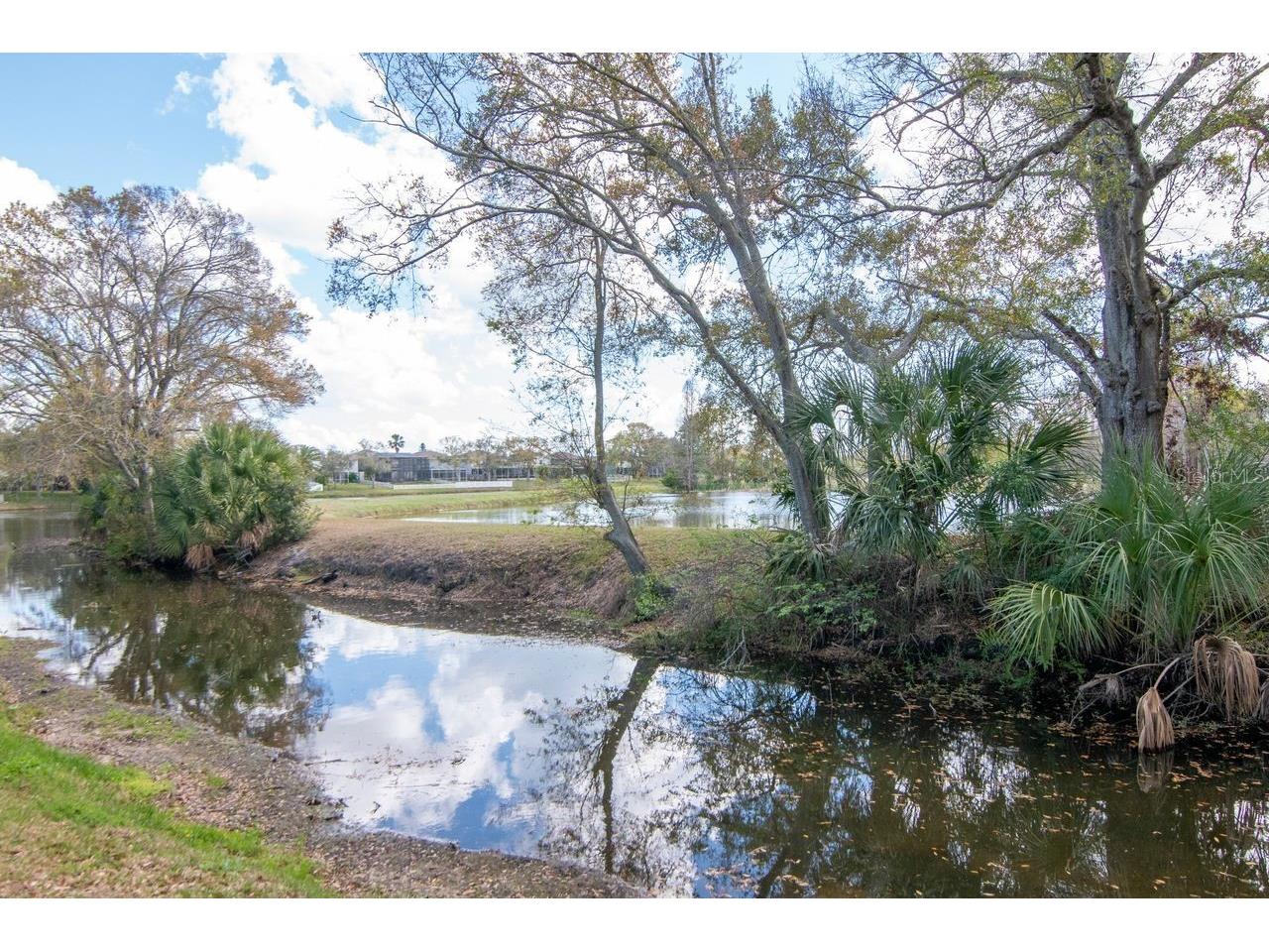 1732 Split Fork Drive Oldsmar FL 34677 TB8482923 image57