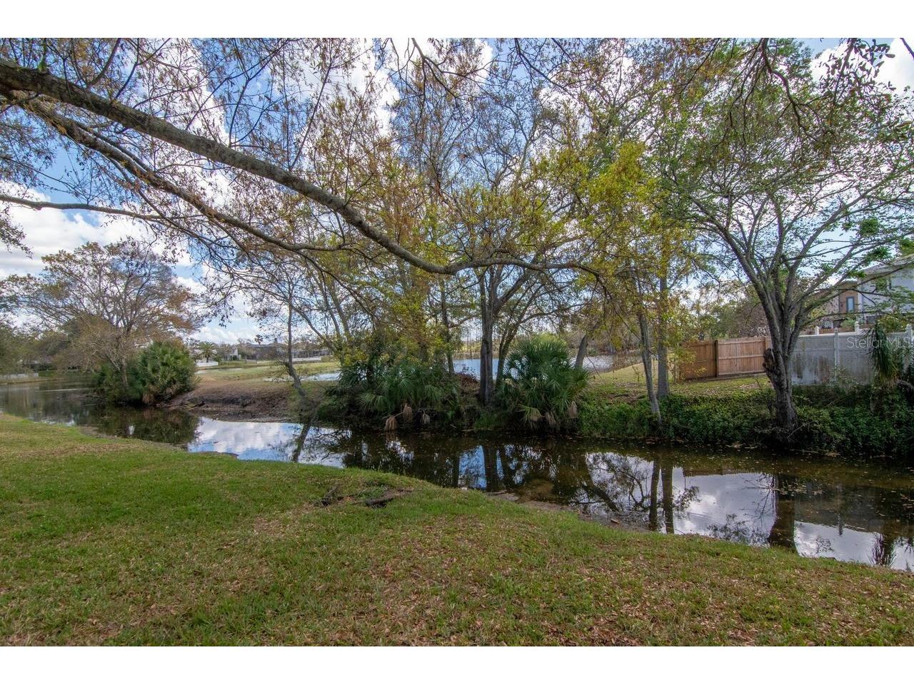 1732 Split Fork Drive Oldsmar FL 34677 TB8482923 image65