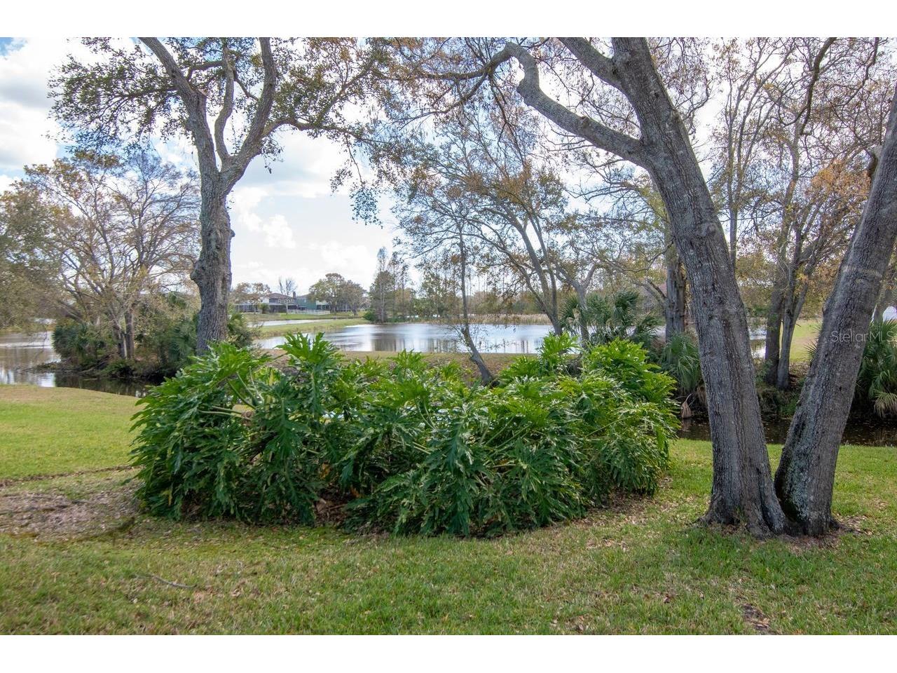 1732 Split Fork Drive Oldsmar FL 34677 TB8482923 image69