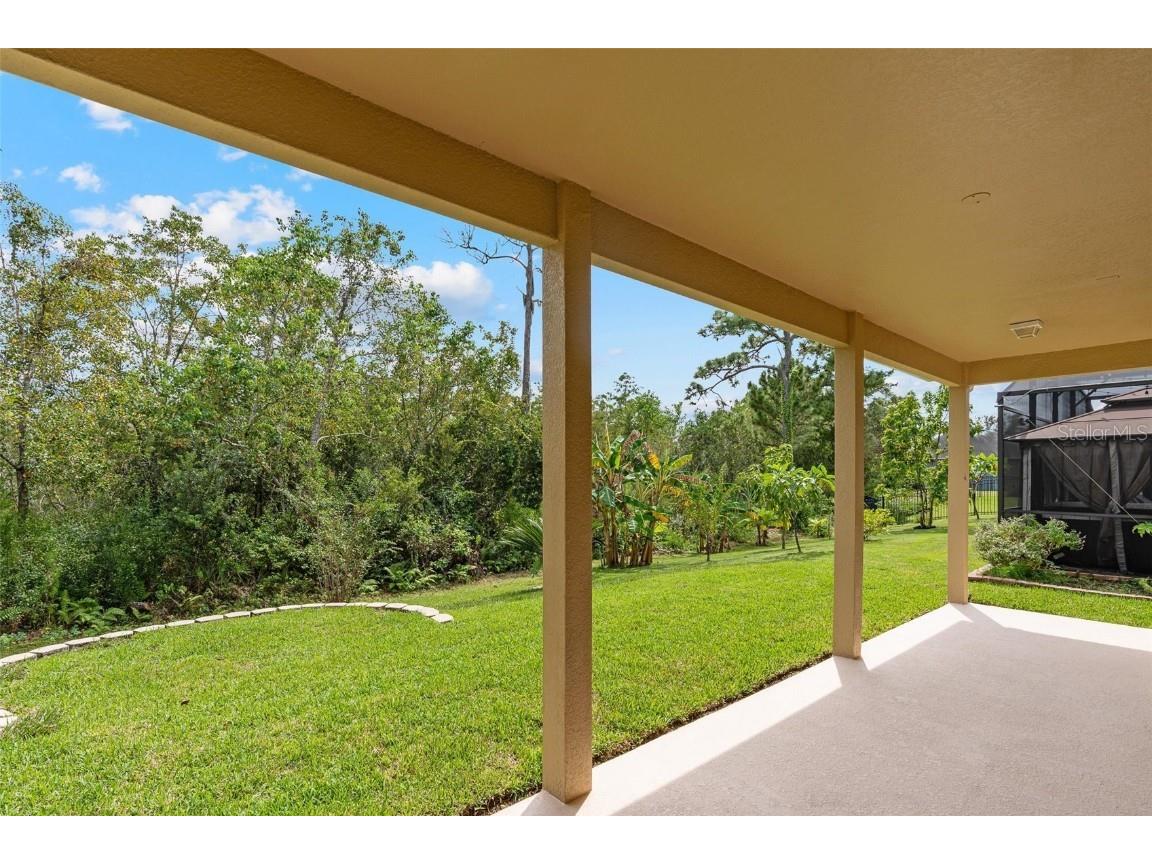 17320 Cypress Preserve Parkway Orlando FL 32820 O6346882 image30