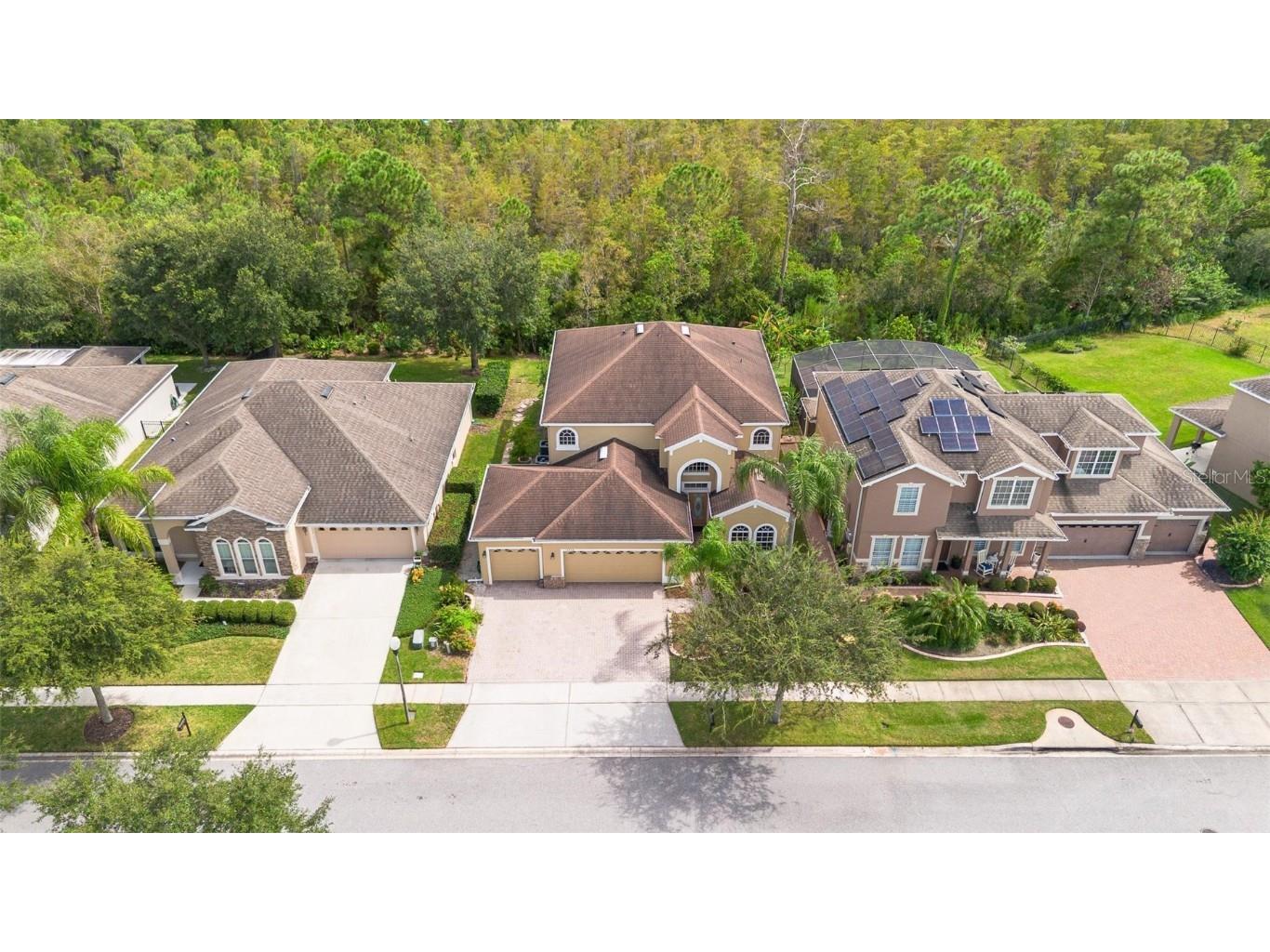 17320 Cypress Preserve Parkway Orlando FL 32820 O6346882 image4