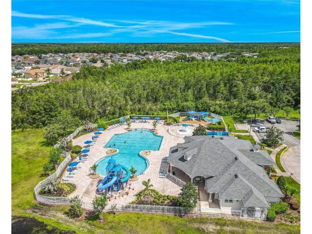 17320 Cypress Preserve Parkway Orlando FL 32820 O6346882 image59