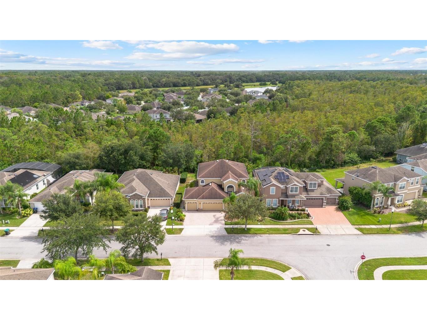 17320 Cypress Preserve Parkway Orlando FL 32820 O6346882 image6