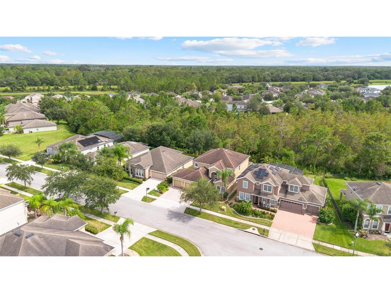 17320 Cypress Preserve Parkway Orlando FL 32820 O6346882 image7