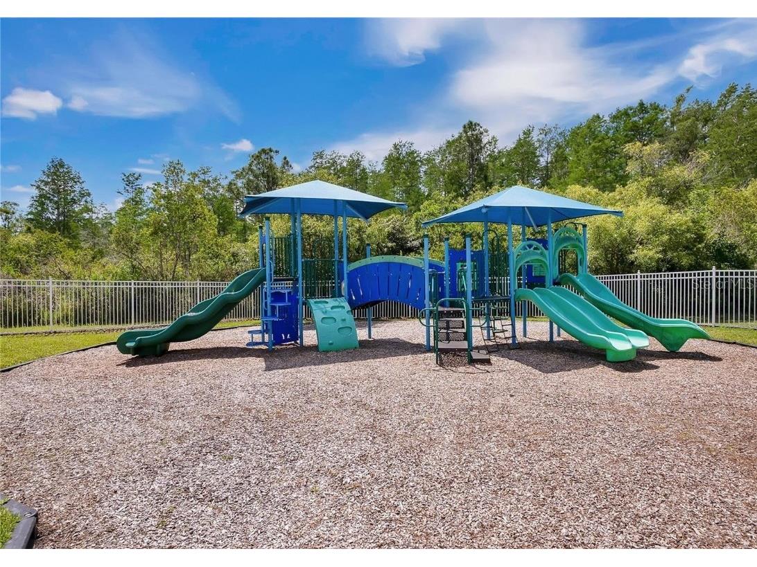 17320 Cypress Preserve Parkway Orlando FL 32820 O6346882 image82