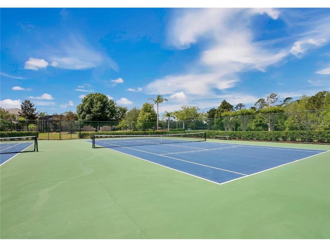 17320 Cypress Preserve Parkway Orlando FL 32820 O6346882 image84