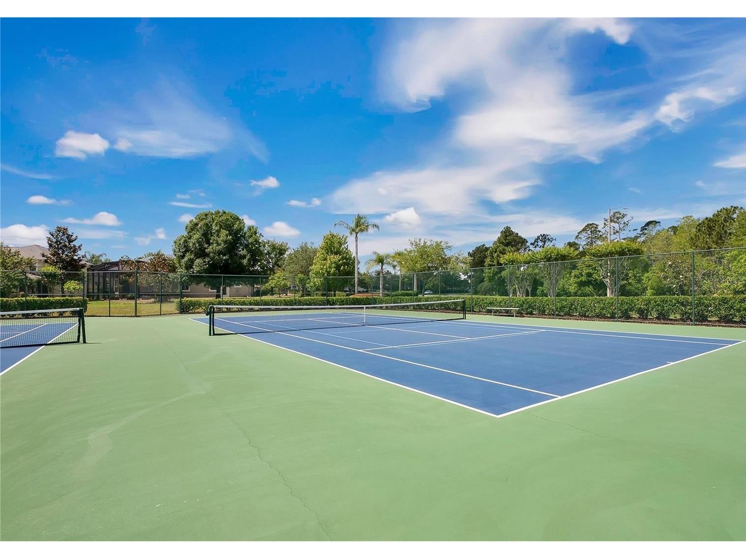 17320 Cypress Preserve Parkway Orlando FL 32820 O6346882 image88