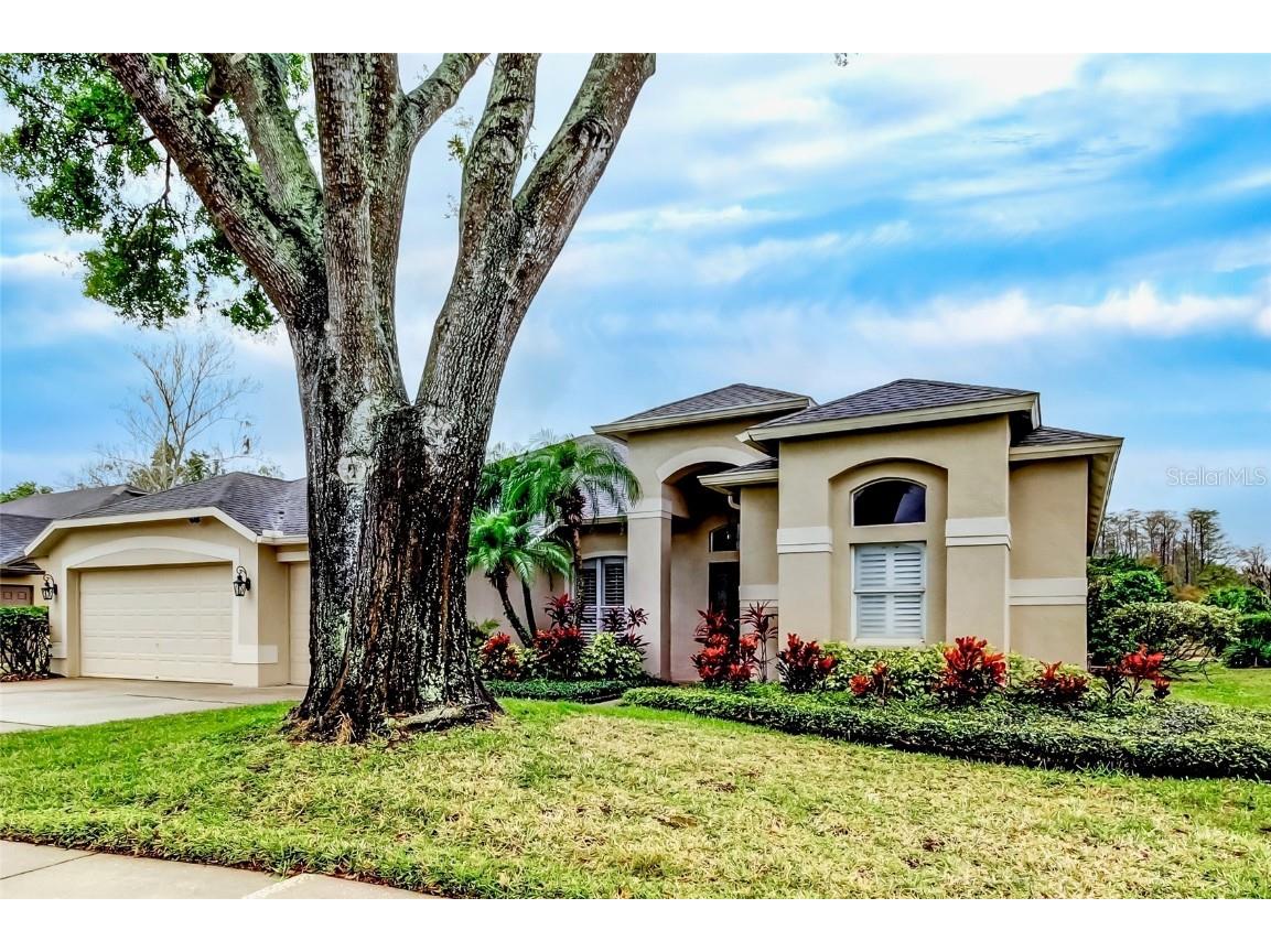 17320 Hubers Court Odessa FL 33556 TB8360603 image1