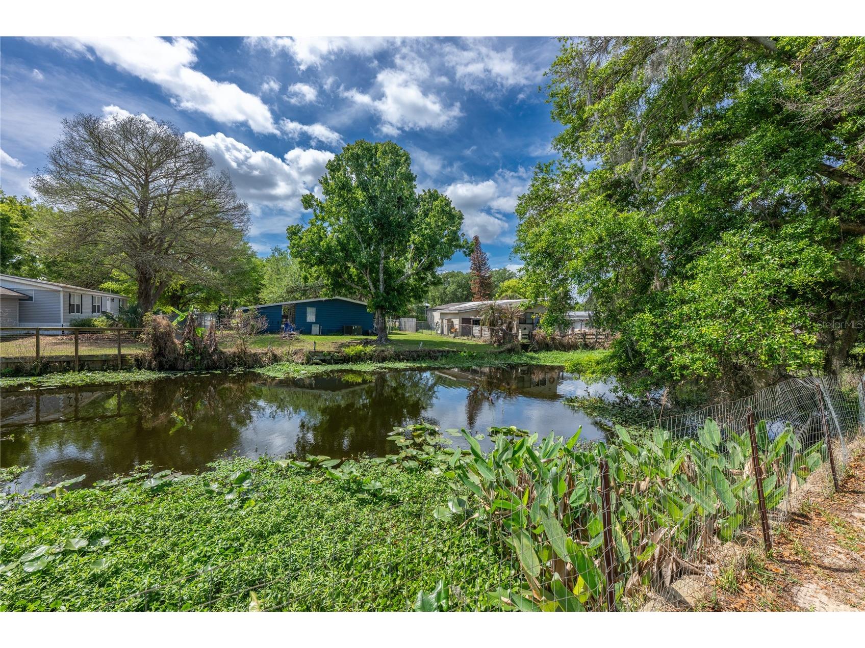 17320 Palm Drive Montverde FL 34756 - LAKE APOPKA G5110501 image26