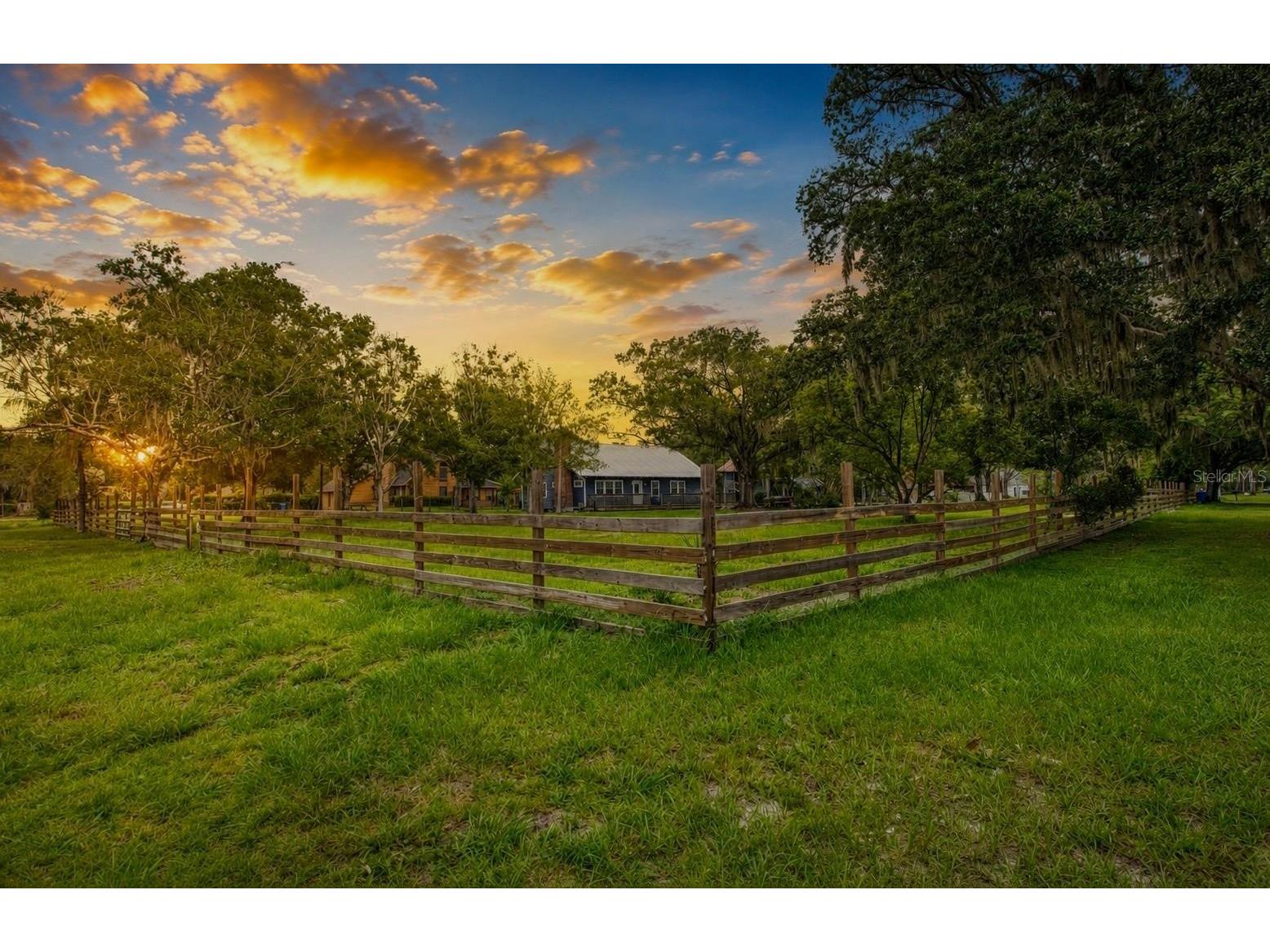 17321 Simmons Road Lutz FL 33548 TB8513644 image1
